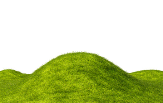 Grassy hill, 3d render. Green grass field. Perfectly smooth lawn, isolated on a white background.