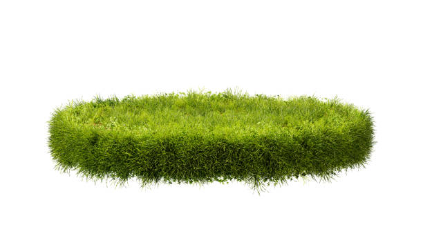 grass podium, isolated on a white background. grass circle, 3d rendering - gras stockfoto's en -beelden