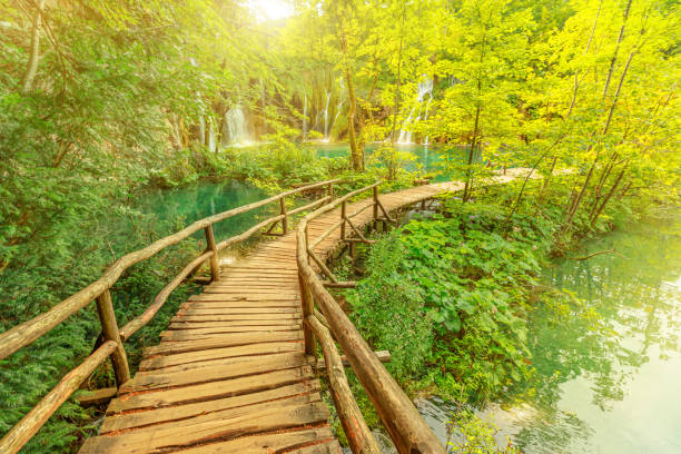 istock Plitvice Lakes National Park Galovacki Buk pool 1390148442