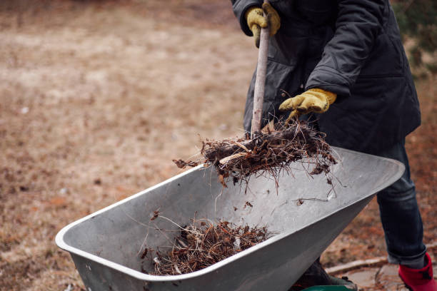 istock Cropped farm worker cleaning, weeding yard, picking dried plants, grass in wheelbarrow for future compost. Soil caring 1390148607