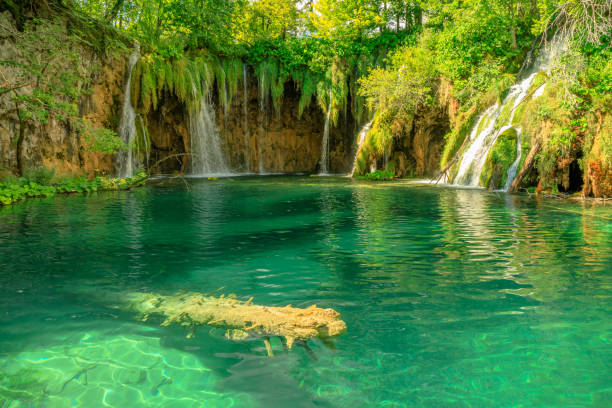istock Plitvice Lakes National Park Galovacki Buk 1390150147
