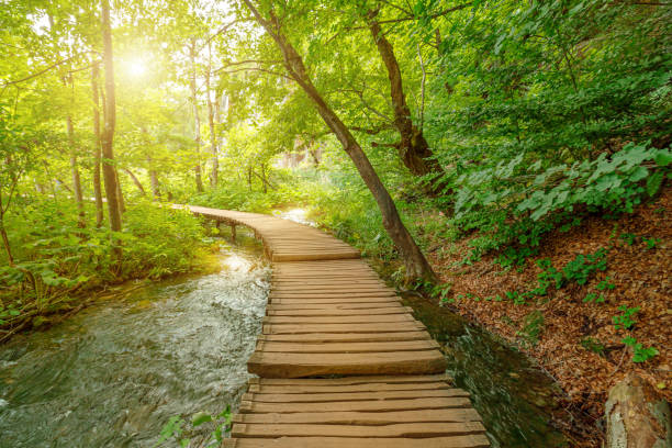istock walking in Milino Jezero lake 1390150174