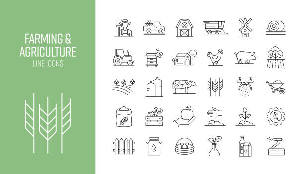 satz von landwirtschaftlichen und landwirtschaftsbezogenen liniensymbolen. outline symbol-auflistung - farmer stock-grafiken, -clipart, -cartoons und -symbole