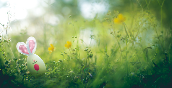 Easter egg with bunny face and rabbit ears hidden in a meadow for an Easter egg hunt.