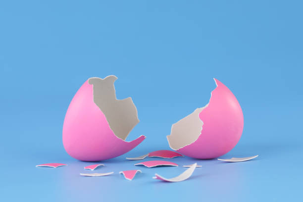 pink easter egg cracked open and broken into pieces. - eggs cracked opening fragile imagens e fotografias de stock