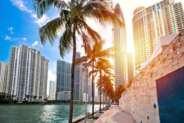 miami waterfront walkway und skyline sonnenuntergang - miami beach travel tourist resort vacations stock-fotos und bilder