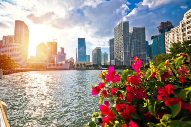 istock Miami waterfront walkway and skyline sunset view 1390156768