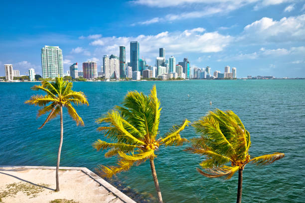 istock Miami skyline bright sunny day view 1390156793