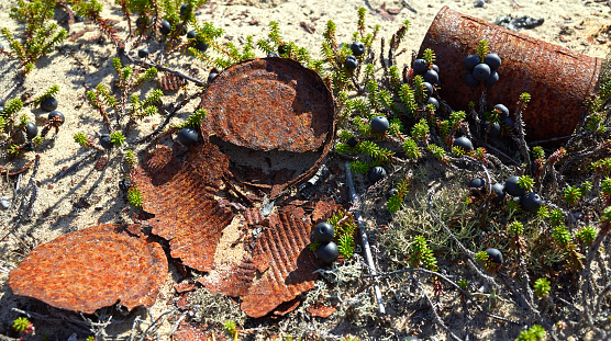 Image of Old metal barrels in desert plains by mountains
