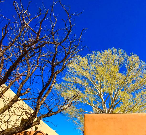 istock Santa Fe, New Mexico 1390161700