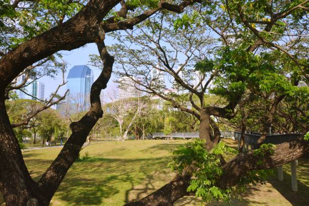 istock Park, architecture and cityscape in Thailand 1390162377