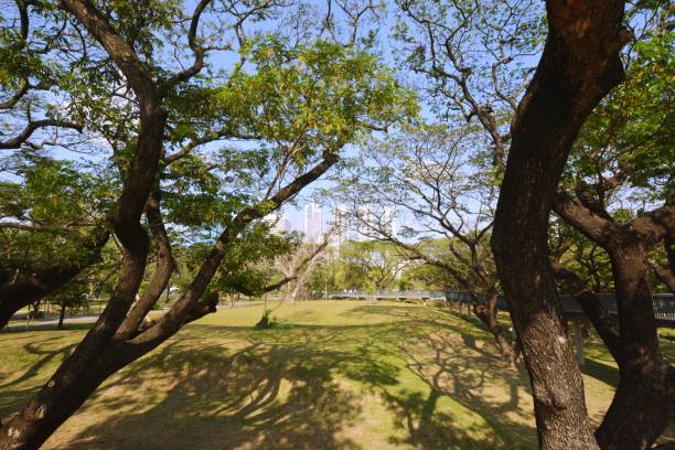 istock Park, architecture and cityscape in Thailand 1390162378