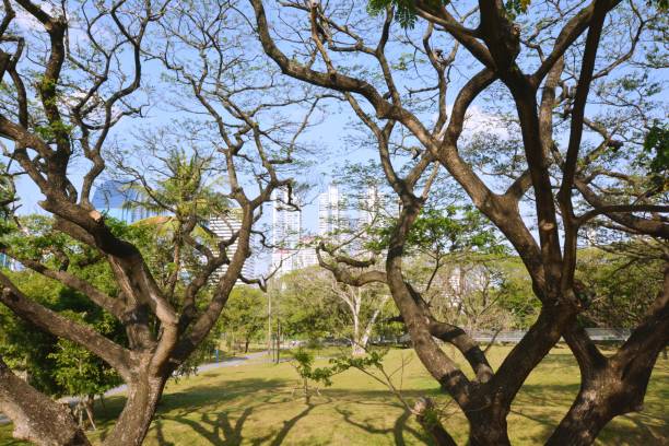 istock Park, architecture and cityscape in Thailand 1390162381