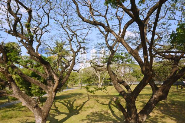 istock Park, architecture and cityscape in Thailand 1390162382