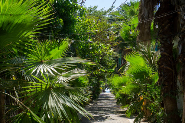 istock Walking stone path to the beach with trees and bushes on the side decorated by hanging light bulbs 1390163583