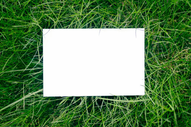 istock creative layout composition frame made of green fresh grass with a beautiful texture with a white paper card note and shadows from sunlight, flat lay and copy space 1390166311