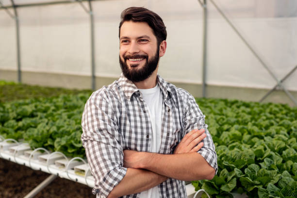 istock Happy male farmer near hydroponic table 1390170510
