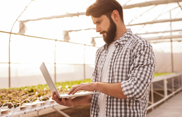 istock Bearded farmer using laptop in greenhouse 1390170533