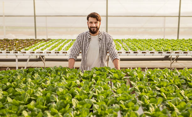 istock Hothouse owner standing near plants 1390170541