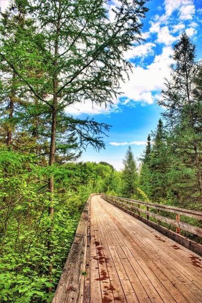 istock Bearskin Trail Summer Crossing 1390173466