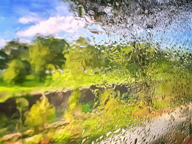 kondensacja na szybie autobusu - condensation mobilestock clean empty zdjęcia i obrazy z banku zdjęć