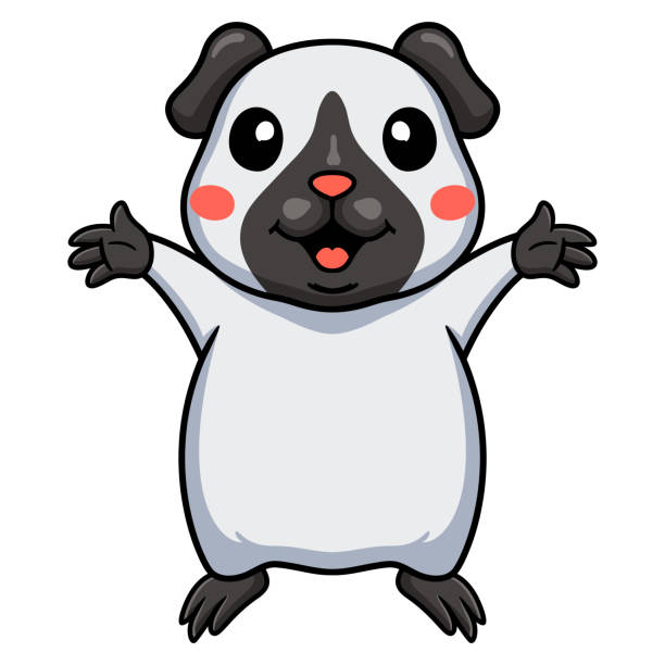 ilustrações, clipart, desenhos animados e ícones de desenho de guiné siamês fofo levantando as mãos - mouse gerbil standing hamster