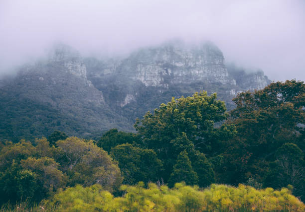 The Kirstenbosch botanical garden in Cape Town