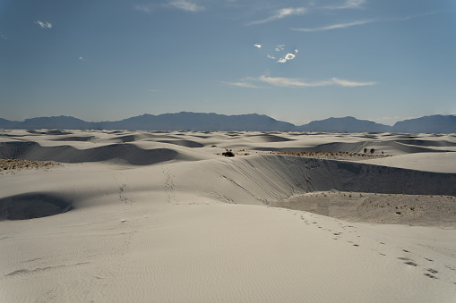 The desert sprawls infinitely, its golden sands complemented by the brilliance of the azure sky.