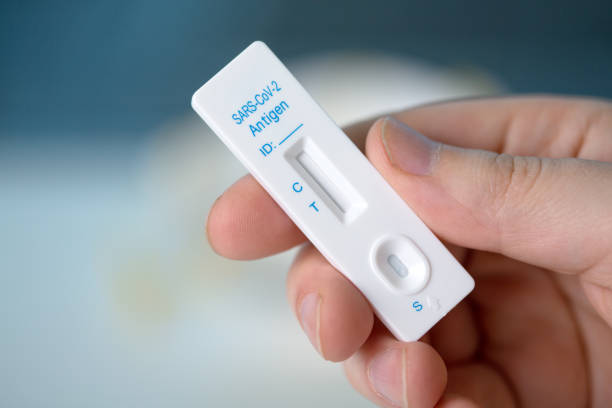 istock Corona virus antigen fast test. Lab card kit test for COVID-19. 1390190309
