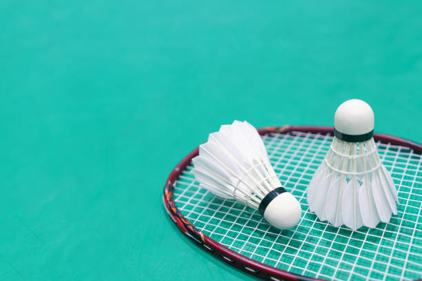 istock shuttlecock on badminton playing court 1390191026