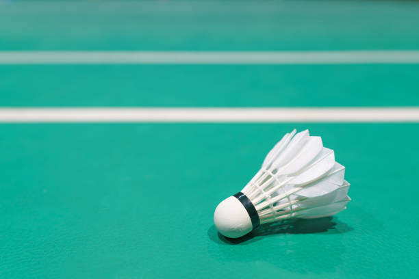 istock shuttlecock on badminton playing court 1390191046