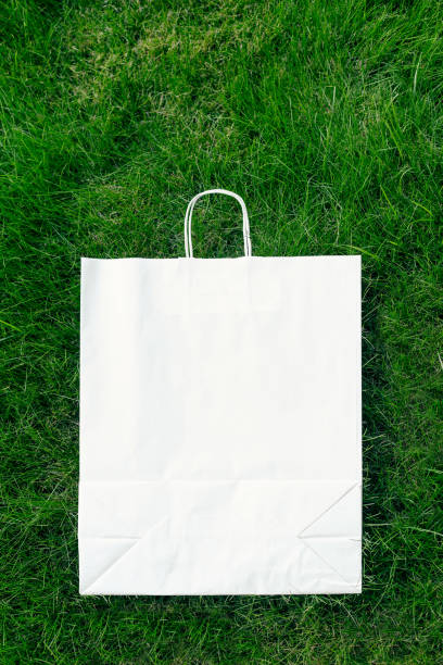 istock creative layout composition frame made of green lawn grass with craft paper bag with handles, flat lay and copy space the logo 1390191704