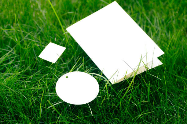 Piece of lined paper on white background