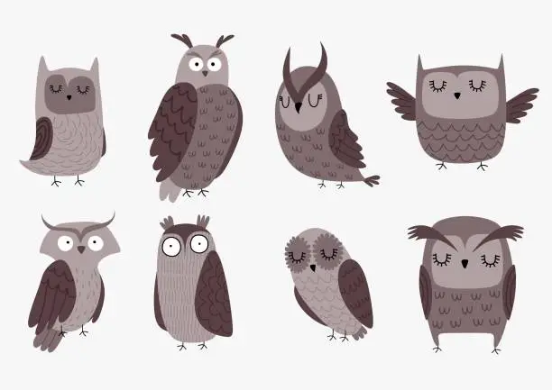 Vector illustration of Vector set of different owls
