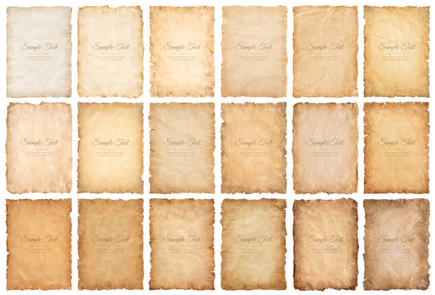 collection set old parchment paper sheet vintage aged or texture isolated on white background collection set old parchment paper sheet vintage aged or texture isolated on white background. sheet metal rolling stock illustrations