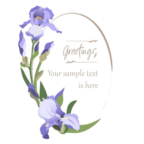Vintage style blue iris flower oval template with copy space, isolated on white background Vintage style blue iris flower oval template with copy space, isolated on white background. Vector illustration blue iris stock illustrations