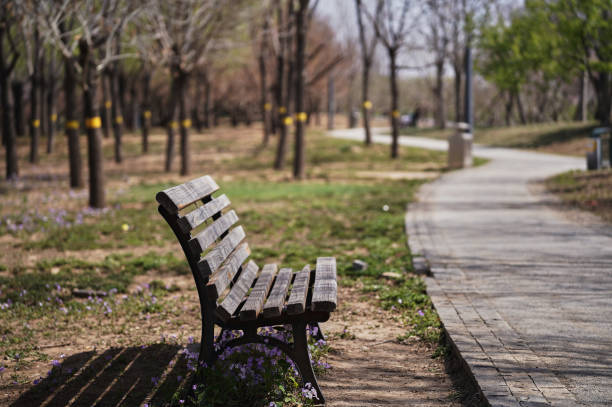 istock park bench beside winding road 1390203555