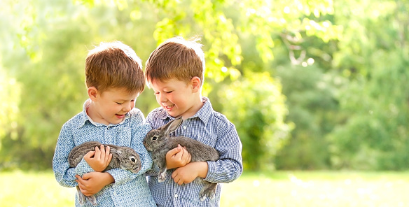 happy twins hold rabbits in their hands in a sunny glade