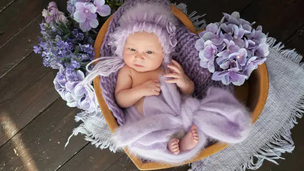 Photo of Newborn girl in heart-shaped basket among purple flowers