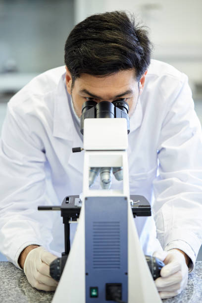 Front view of a lab technician looking through a microscope stock photo