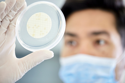 Close-up portrait of mid adult Asian American scientist holding up a Petri dish