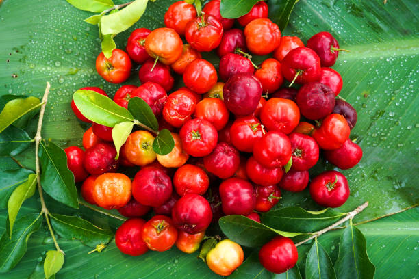 organiczna brazylijska acerola cherry food tło. - cherry cherry tree tree fruit zdjęcia i obrazy z banku zdjęć