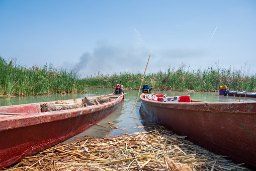 Boats parked in the marshes
