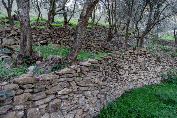 istock Natural stone walls at an olive grove 1390239741