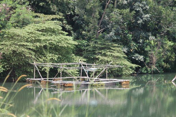 istock fish pond in the lake 1390249902