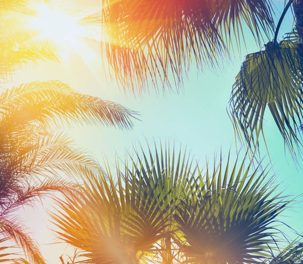 istock Palm trees at tropical coast in summer, vintage retro toned and stylized image. 1390250091