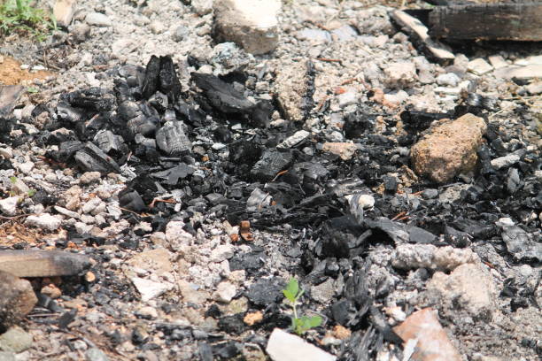 istock wood charcoal 1390250750