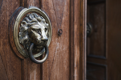 Beautiful bronze door knocker in the form of a lion head in Madrid, Spain