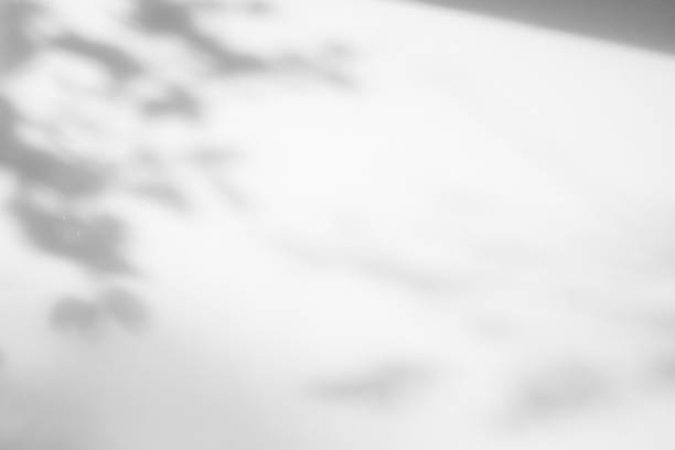 istock Abstract natural tree leaves shadow on white wall background 1390251584