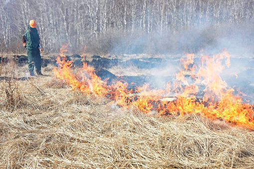 A firefighter in a field extinguishes a fire with water.